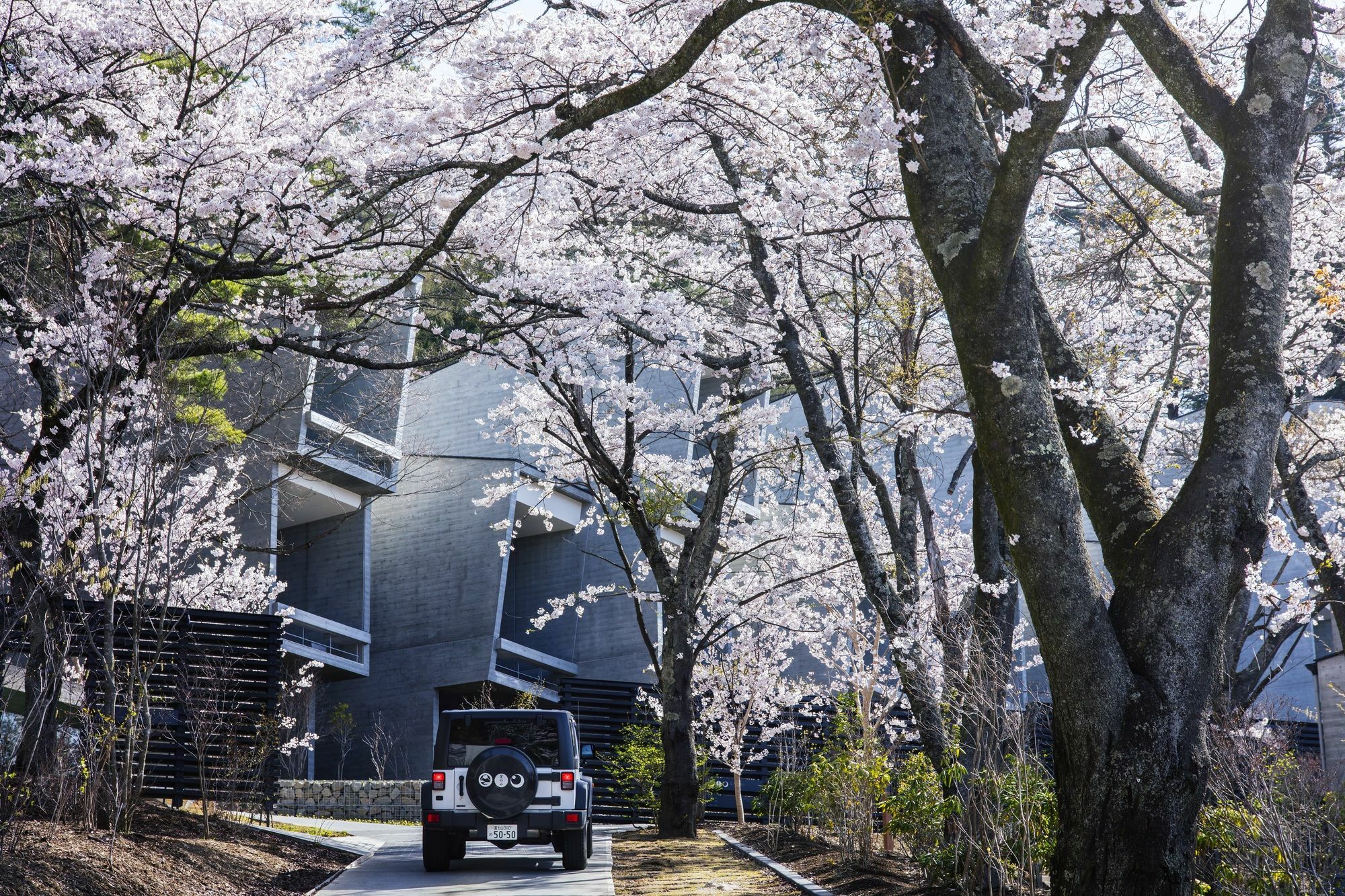 Hoshinoya Fuji Hotell Fujikawaguchiko Exteriör bild